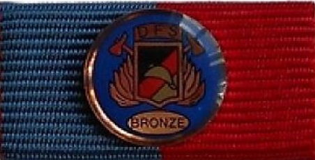 Deutsches Feuerwehr Fitnessabzeichen in Bronze